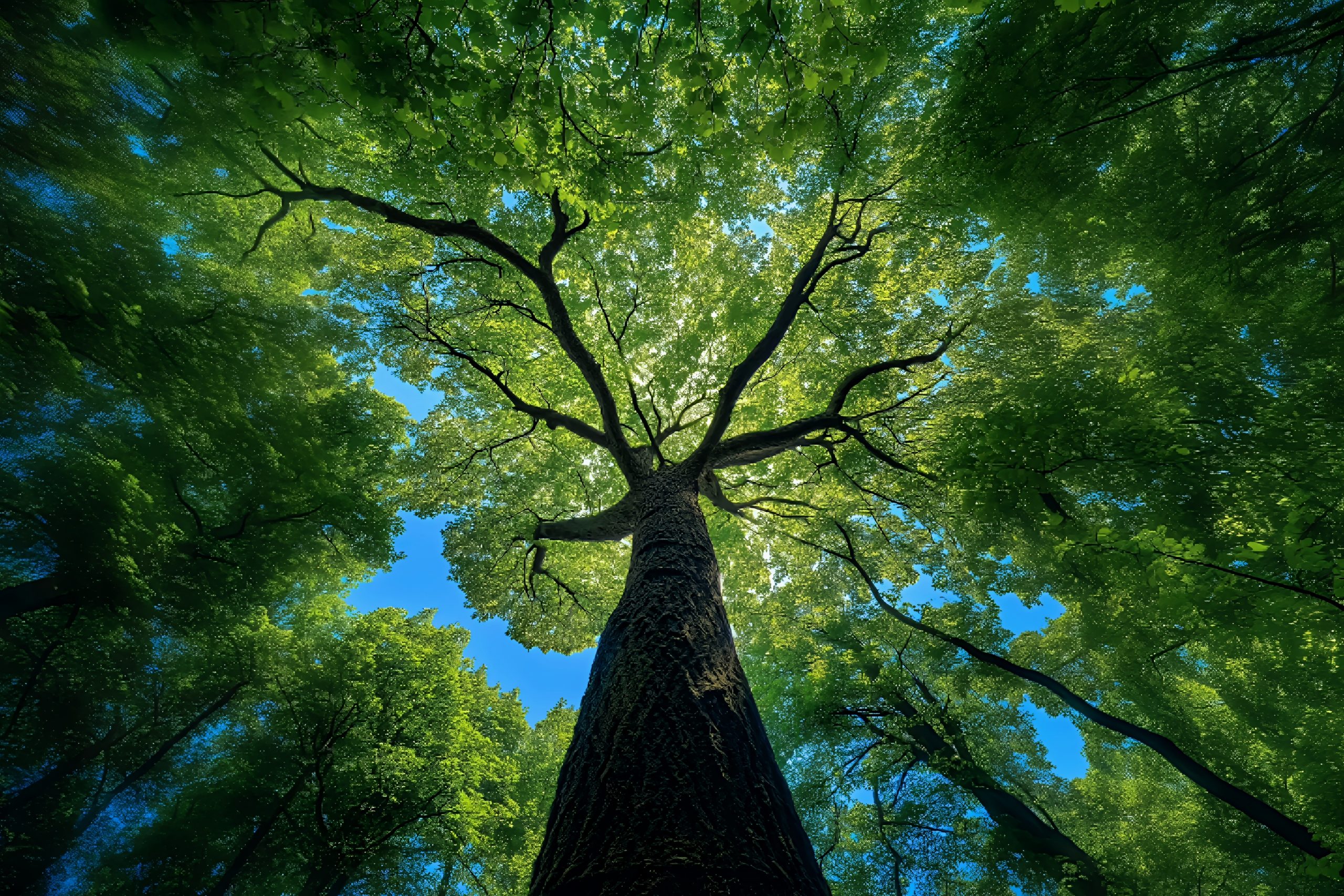 北凯千寻-技术门户社区论坛与资源商城-一站式技术与数字商品交流平台